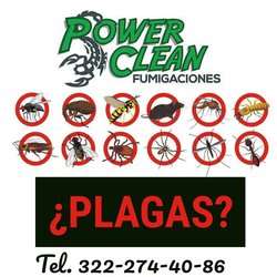 imagen de Servicio de fumigacion_1