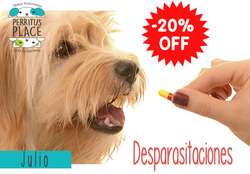 imagen de 20 OFF en DESPARASITACION en caninos_1