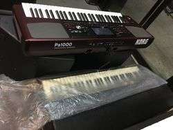 imagen de korg pa1000_1