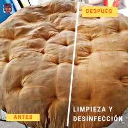 imagen de LIMPIEZA Y PROTECCION DE SOFA _1
