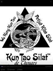 imagen de Kuntao Silat Tai Chi_1