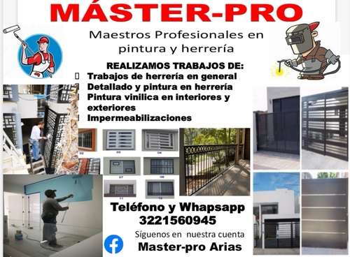 imagen de Maestro profecional en Herreria y pintura_1