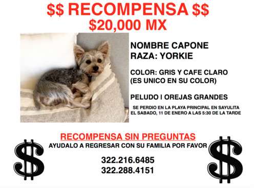 imagen de $20 MIL PESOS RECOMPENSA $_1