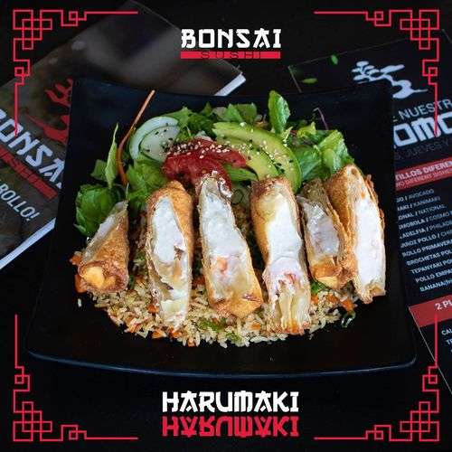 imagen de HARUMAKI_1