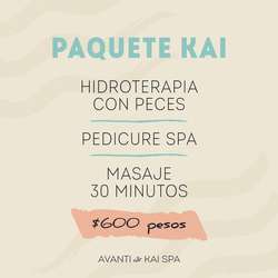 imagen de Paquete KAI_1