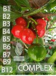 imagen de Aumenta tu bienestar general_1