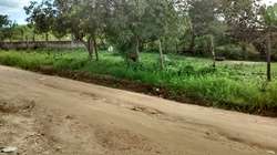 imagen de Vendo Esquina en el Tuito, Cabo Corrientes, Jal._1