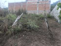 imagen de TERRENO EN VENTA EN COL. AMPLIACION VOLCANES. _1
