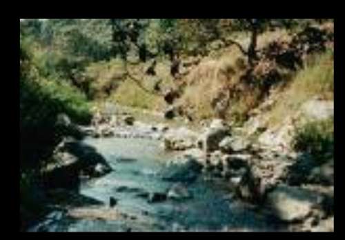 imagen de Tuito terreno_1