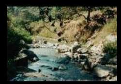 imagen de Tuito terreno_1