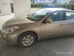 imagen de Altima 2011_1