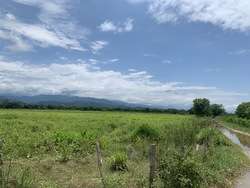 imagen de TERRENOS EN VENTA _1