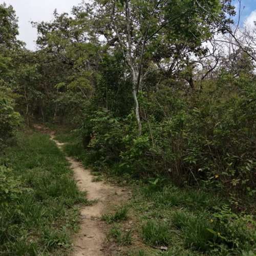 imagen de 4 hectareas 400,000 pesos oportunidad_1