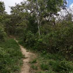 imagen de 4 hectareas 400,000 pesos oportunidad_1