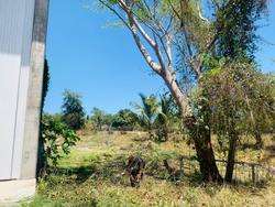 imagen de 850 M2 de Terreno en Mezcales_1