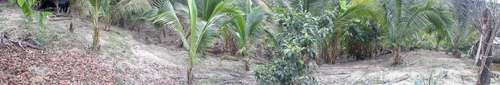 imagen de TERRENO EN VENTA LAS JUNTAS Y LOS VERANOS_1