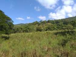 imagen de Terreno en venta en el Tuito, Jalisco._1