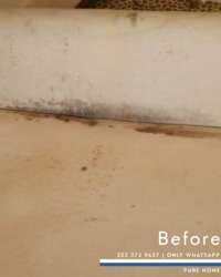 imagen de Limpieza de tapiceria _1