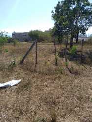 imagen de TERRENO EN VENTA_1