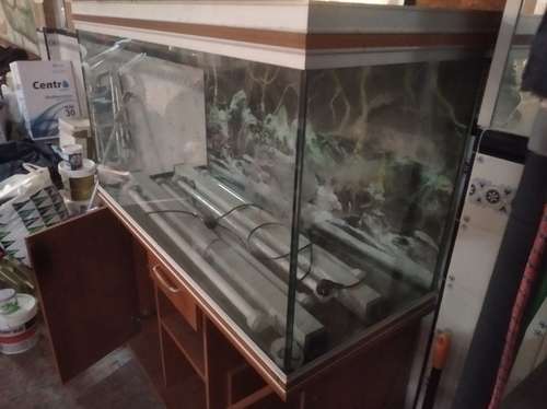 imagen de Vendo acuario completo 360 litros_1