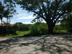 imagen de TERRENO EN VENTA EN EL COLORADO_1