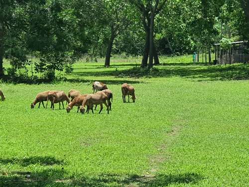imagen de Parcela en venta en el Zancudo_1