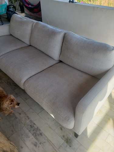 imagen de Servicio Profesional de Limpieza de Tapicerias. _1