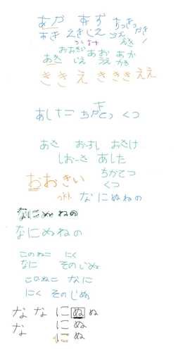 imagen de Clases de Japones en Puerto Vallarta_1