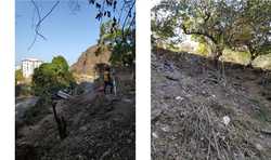 imagen de Terreno en venta /Land for sale Libramiento caloso_1