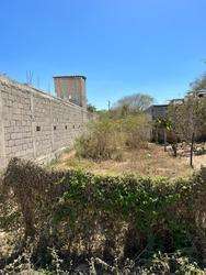 imagen de Terrenos en Paraíso las Flores 2,000 por m2_1