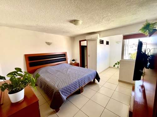 imagen de Depto Col Aralias amueblado y remodelado_1