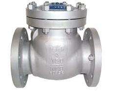 imagen de CHECK VALVES IN KOLKATA_1