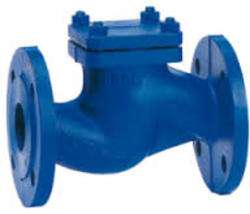 imagen de CHECK VALVES SUPPLIERS IN KOLKATA_1