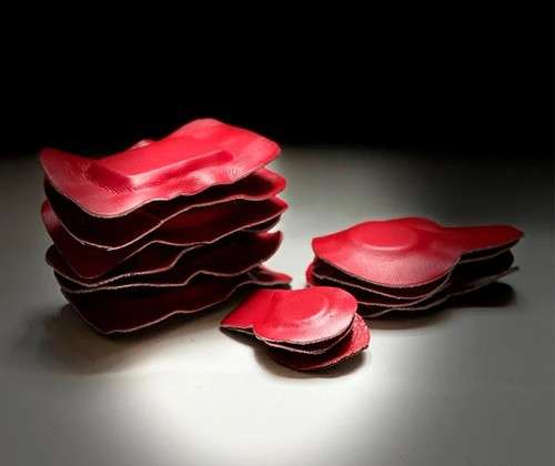 imagen de Biomagnetismo Goiz Vallarta_1