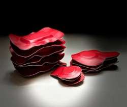 imagen de Biomagnetismo Goiz Vallarta_1