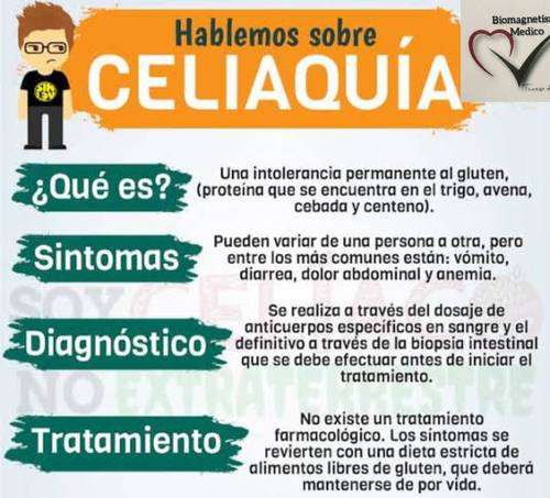 imagen de CELIAQUIA_1