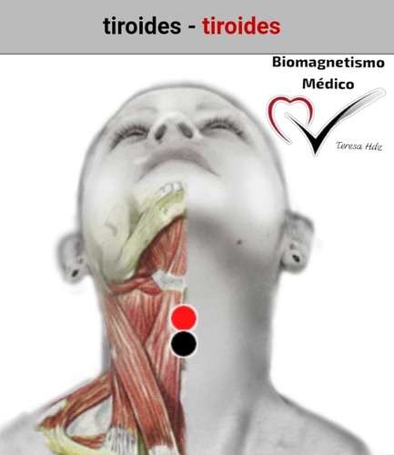 imagen de Hipotiroidismo y Biomagnetismo⚫️_1