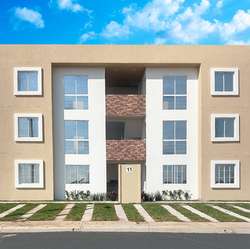 imagen de ALMENDRO_1