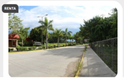 imagen de Terreno en Renta Excelente Ubicación_1