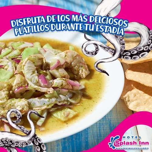 imagen de Hotel Splash Inn Nuevo Vallarta_1