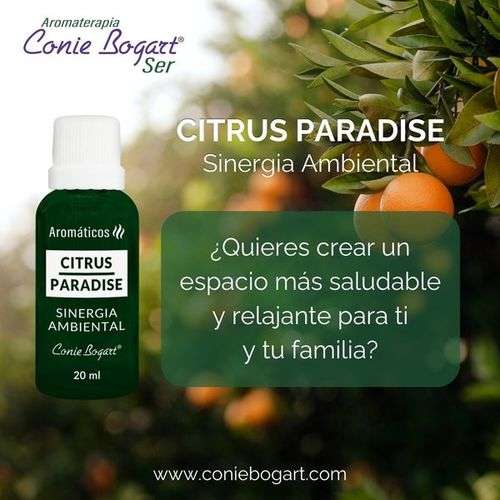 imagen de Aromaterapia Conie Bogart Puerto Vallarta_1