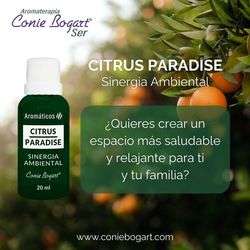 imagen de Aromaterapia Conie Bogart Puerto Vallarta_1