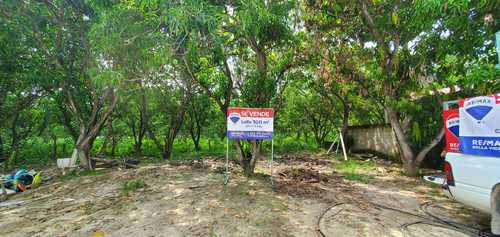 imagen de Terreno 300 m2 en Carretera Vieja al Valle_1
