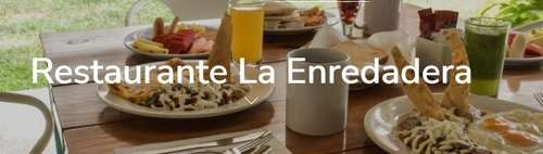 imagen de La Enredadera_1