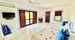 imagen de Azul Junior_1