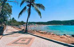 imagen de Rental by the beach Chacala_1