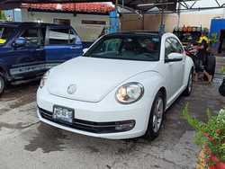 imagen de BEETLE SPORT 2015_1