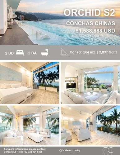 imagen de ORCHID PH 8D~Conchas Chinas_1