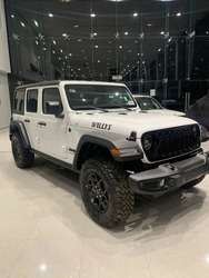 imagen de JEEP SOLO HAY UNO_1