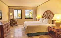 imagen de Suite King con Terraza_1